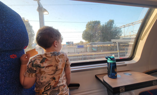 Navigating the City: A Parent's Guide to Using Public Transit with Small Children